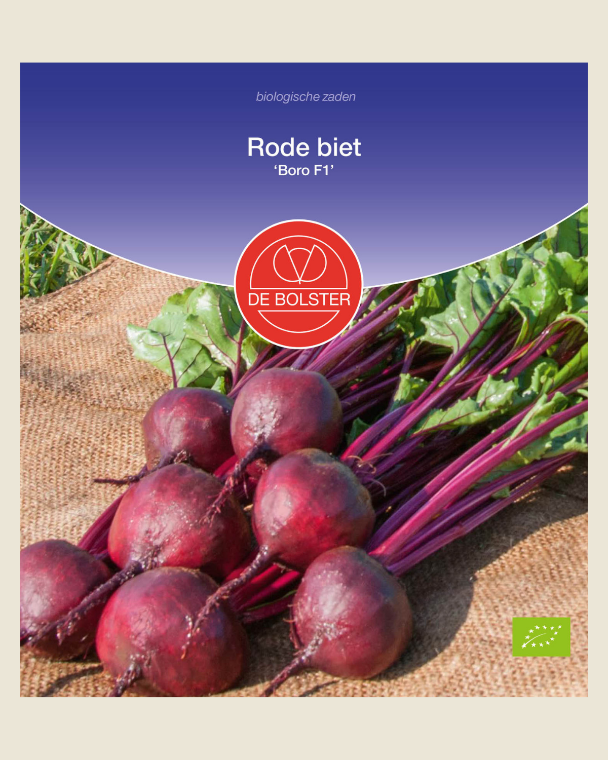 Rode biet 'Boro F1' BIO