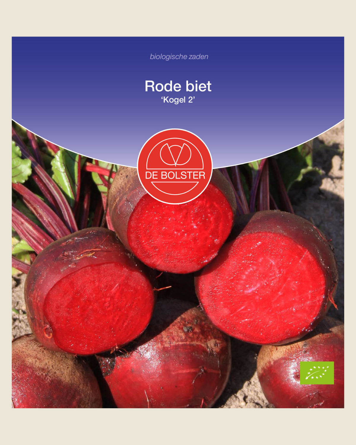 Rode biet 'Kogel 2' BIO