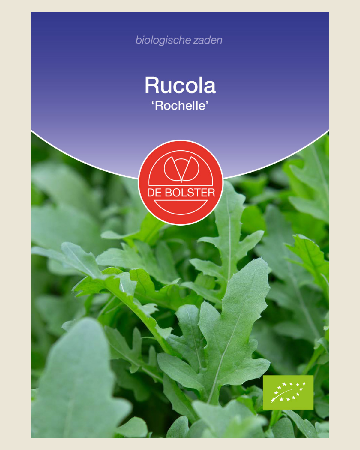 Rucola 'Rochelle' BIO