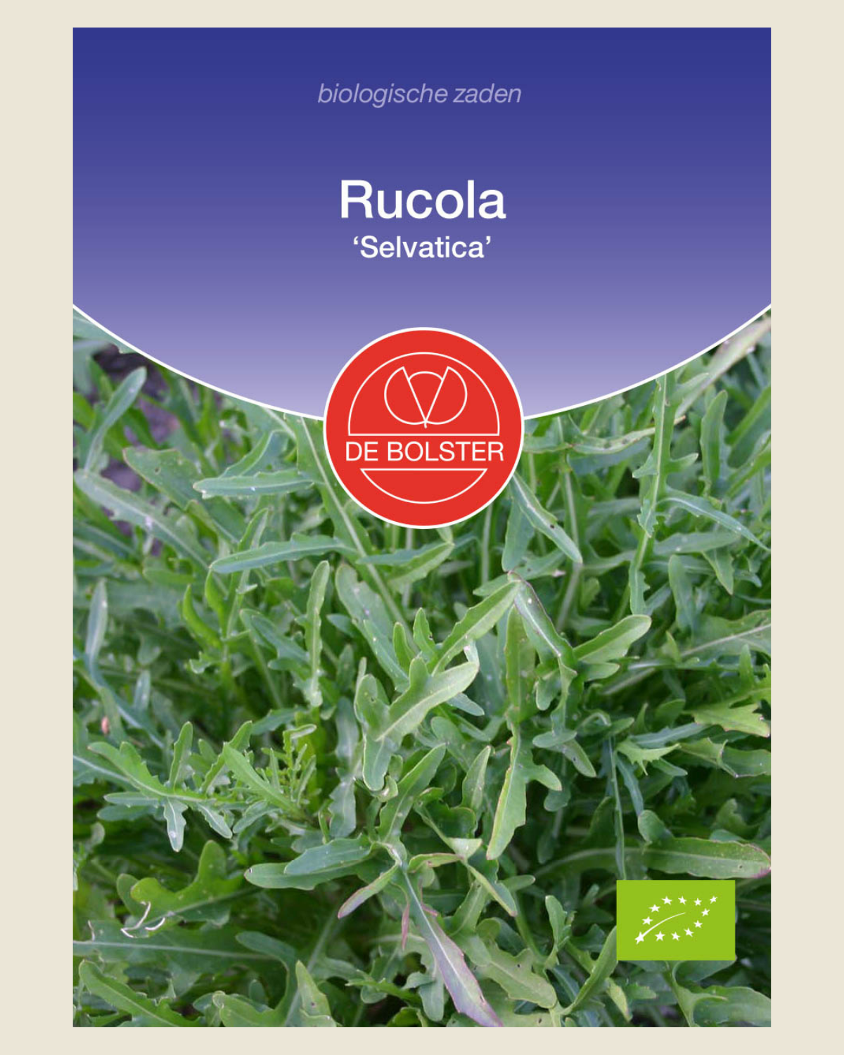 Rucola 'Selvatica' BIO