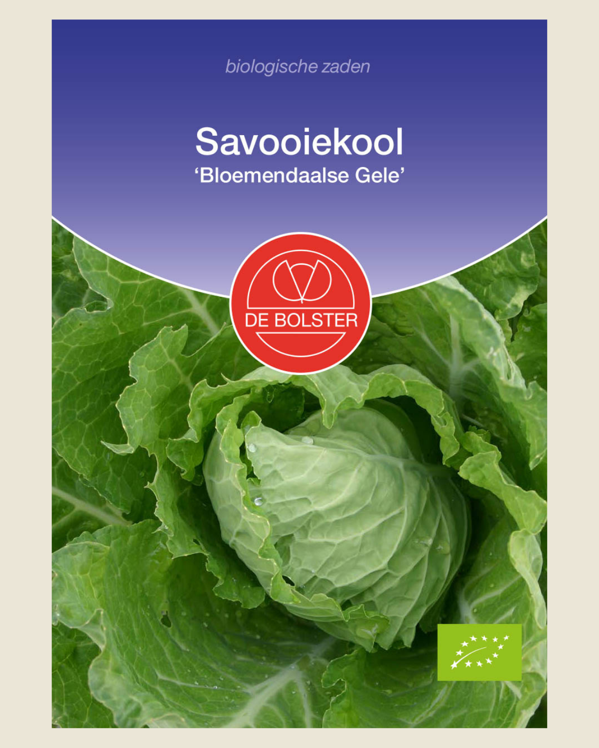 Savooiekool 'Bloemendaalse Gele' BIO