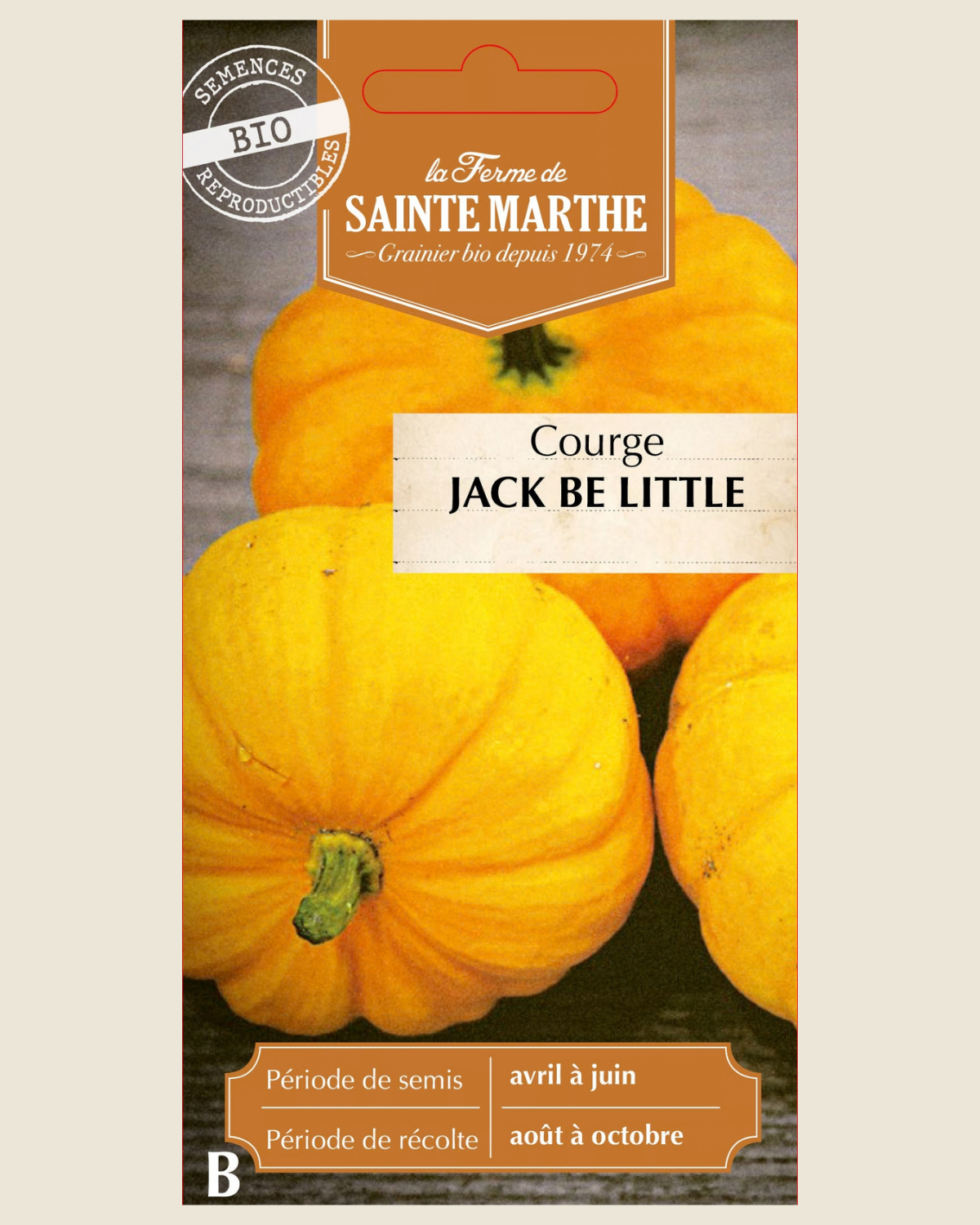Sierpompoen 'Jack Be Little' BIO zakje - De Groene Makers
