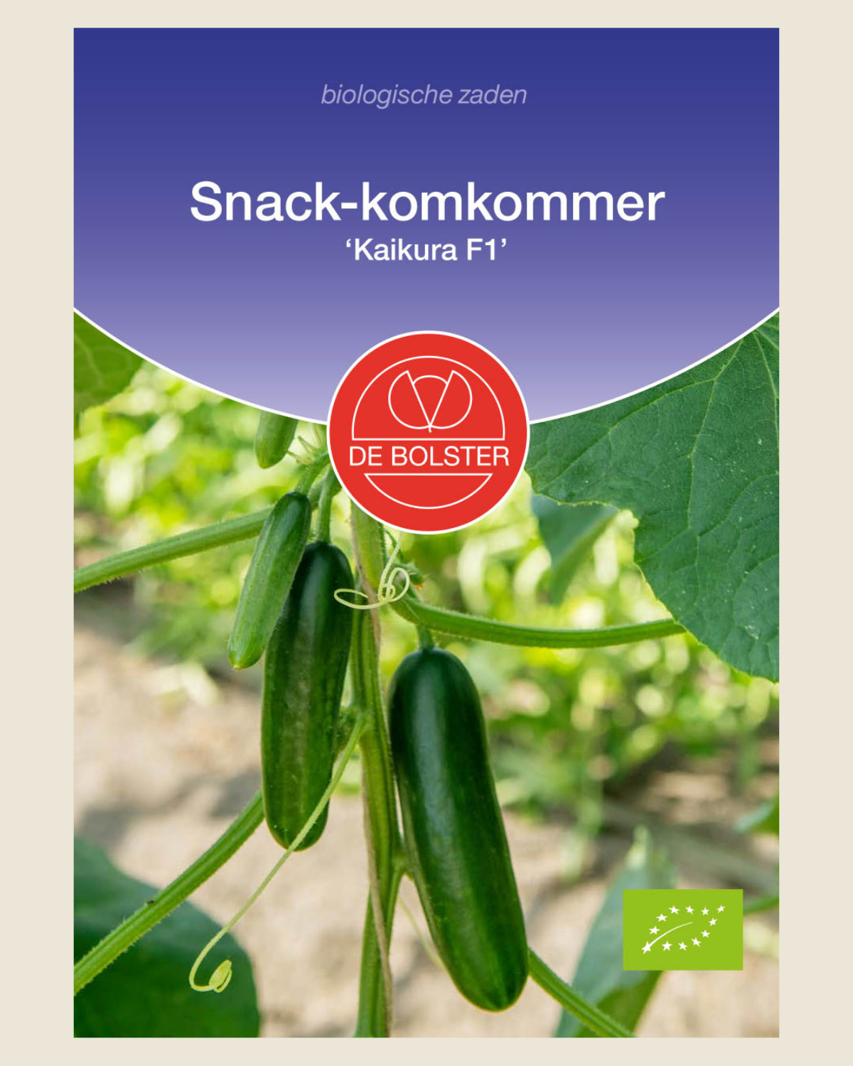 Snack-komkommer 'Kaikura F1' BIO