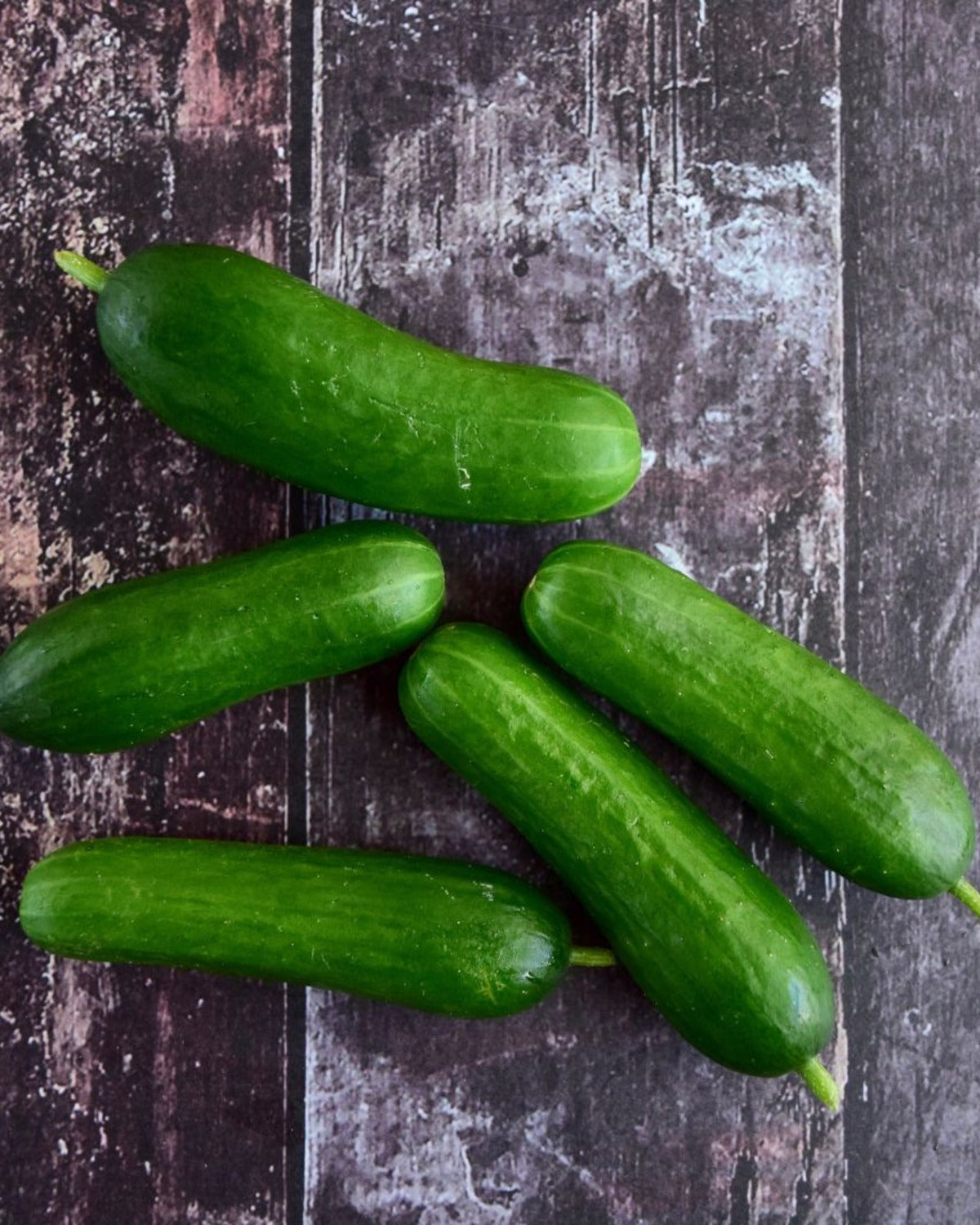 Snackkomkommer 'Kaban' BIO - De Groene Makers