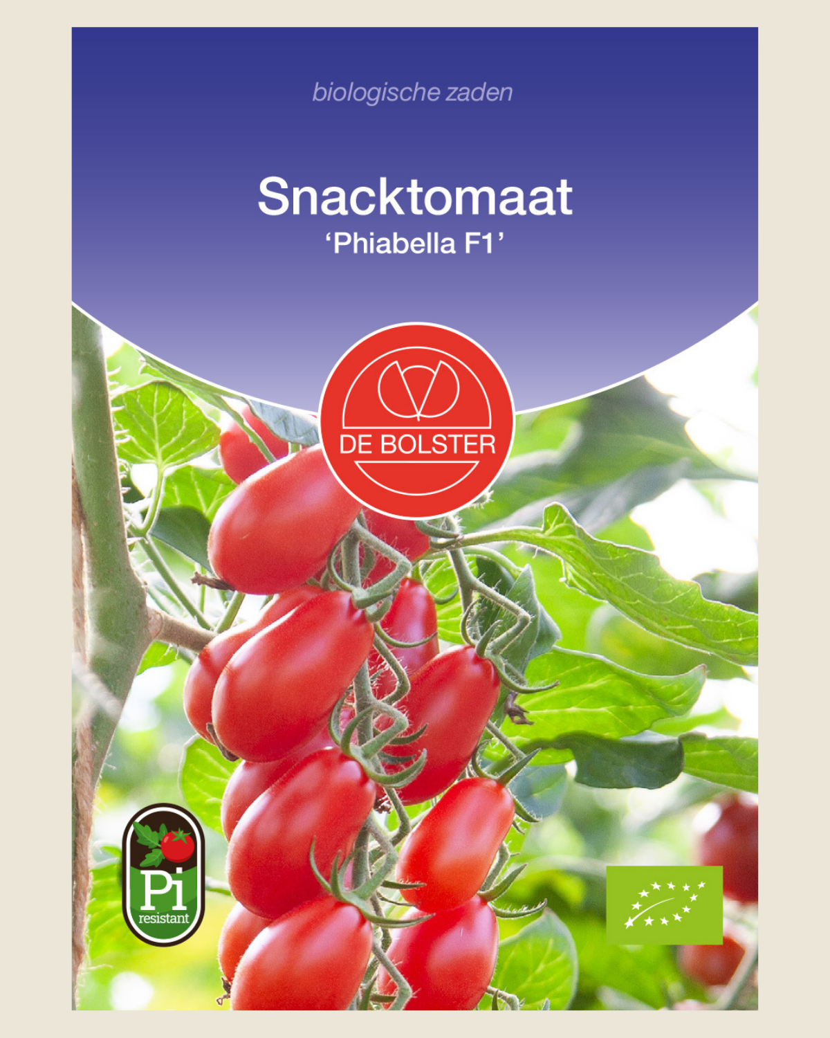 Snacktomaat 'Phiabella F1' BIO