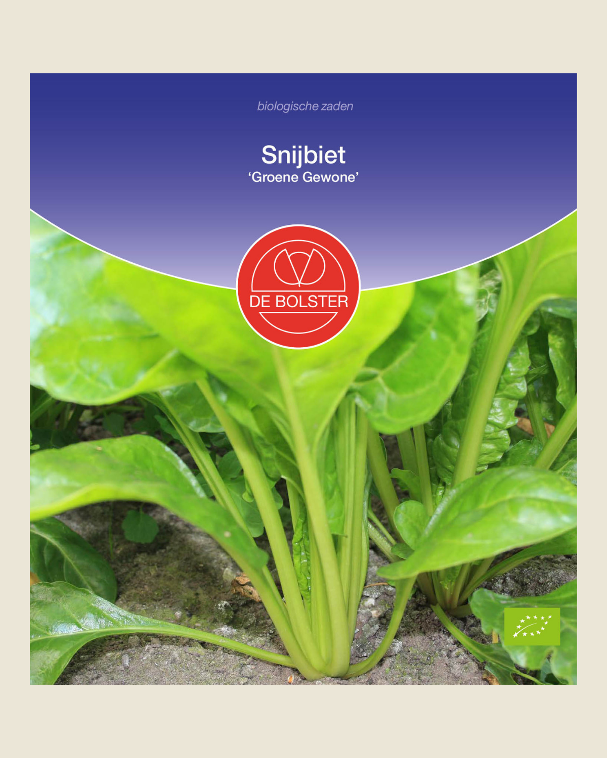 Snijbiet 'Groene Gewone' BIO