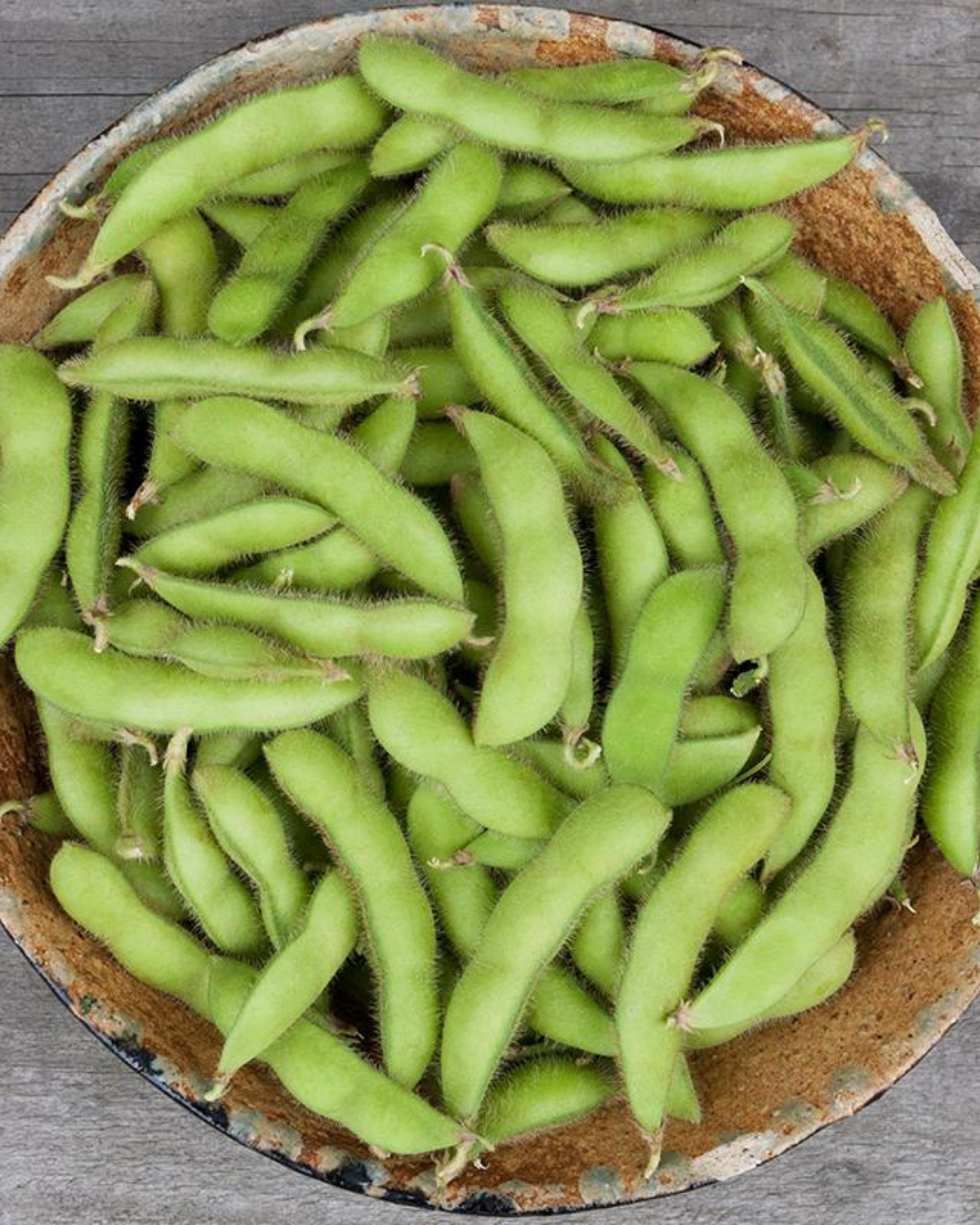 Sojaboon Edamame 'Soda Green' BIO