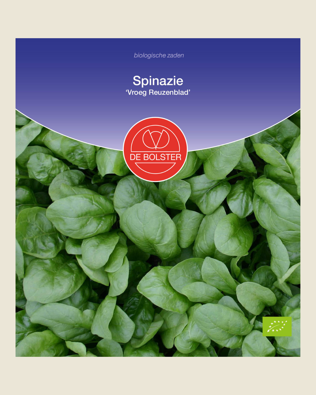 Spinazie 'Vroeg Reuzenblad' BIO