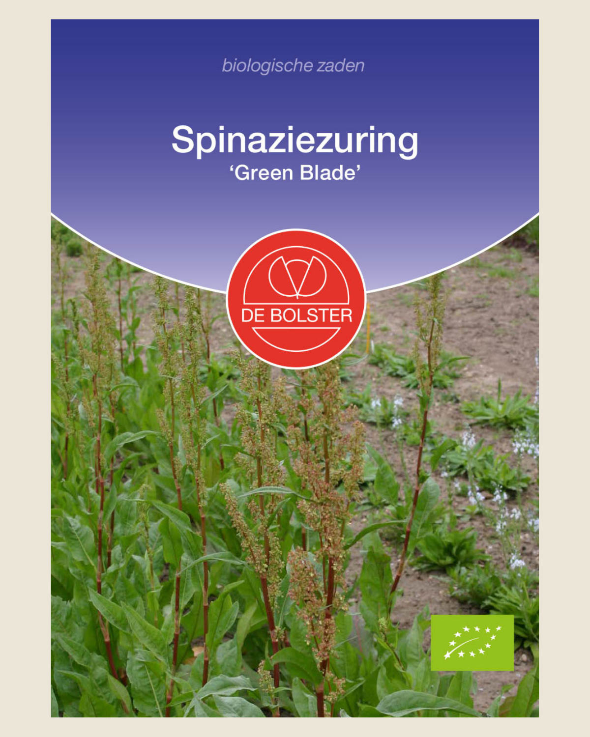 Spinaziezuring 'Green Blade' BIO