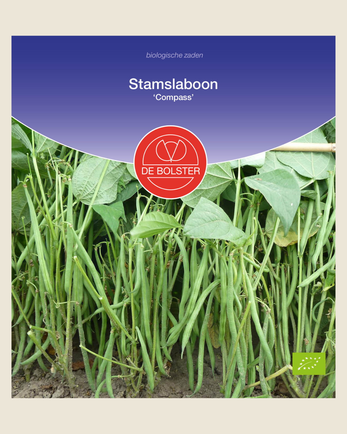 Stamslaboon 'Compass' BIO