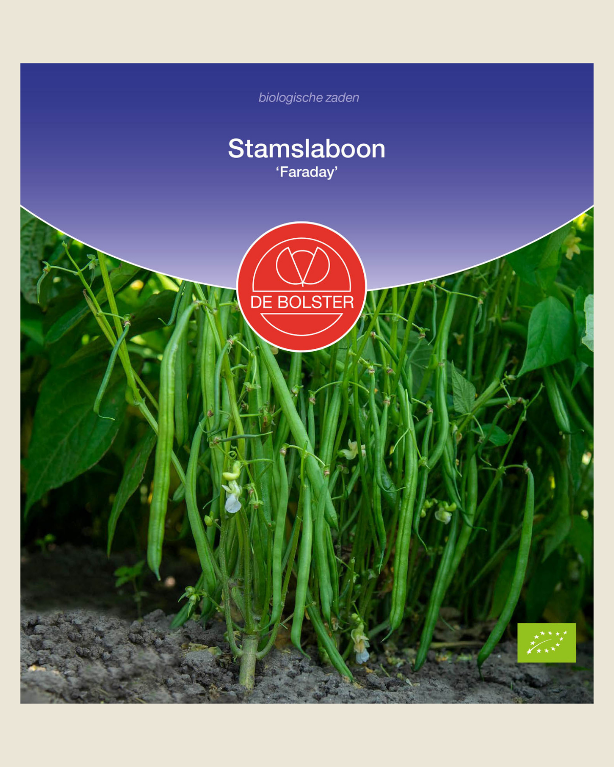 Stamslaboon 'Faraday' BIO