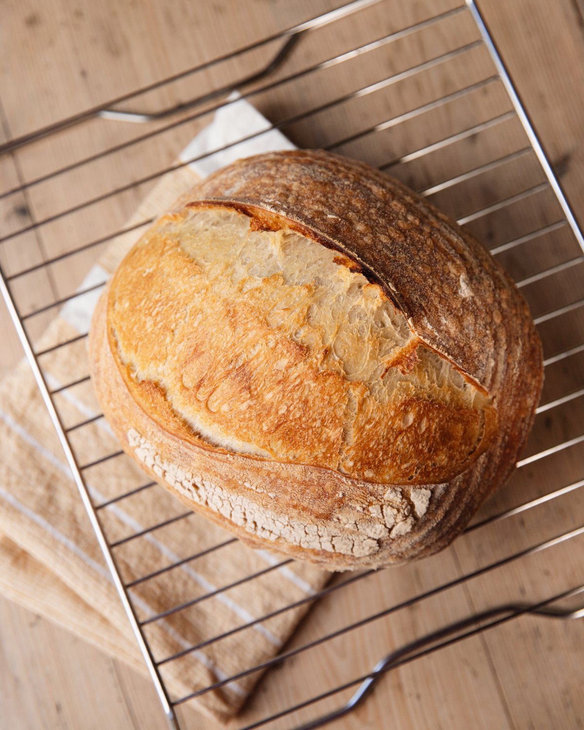 Startpakket brood bakken (ovaal)