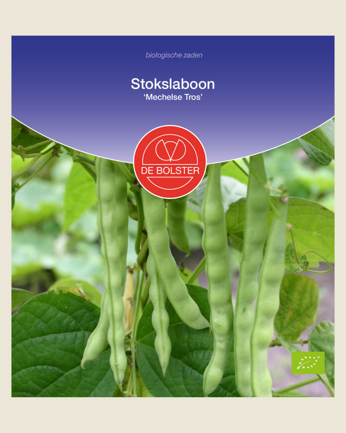 Stokslaboon 'Mechelse Tros' BIO