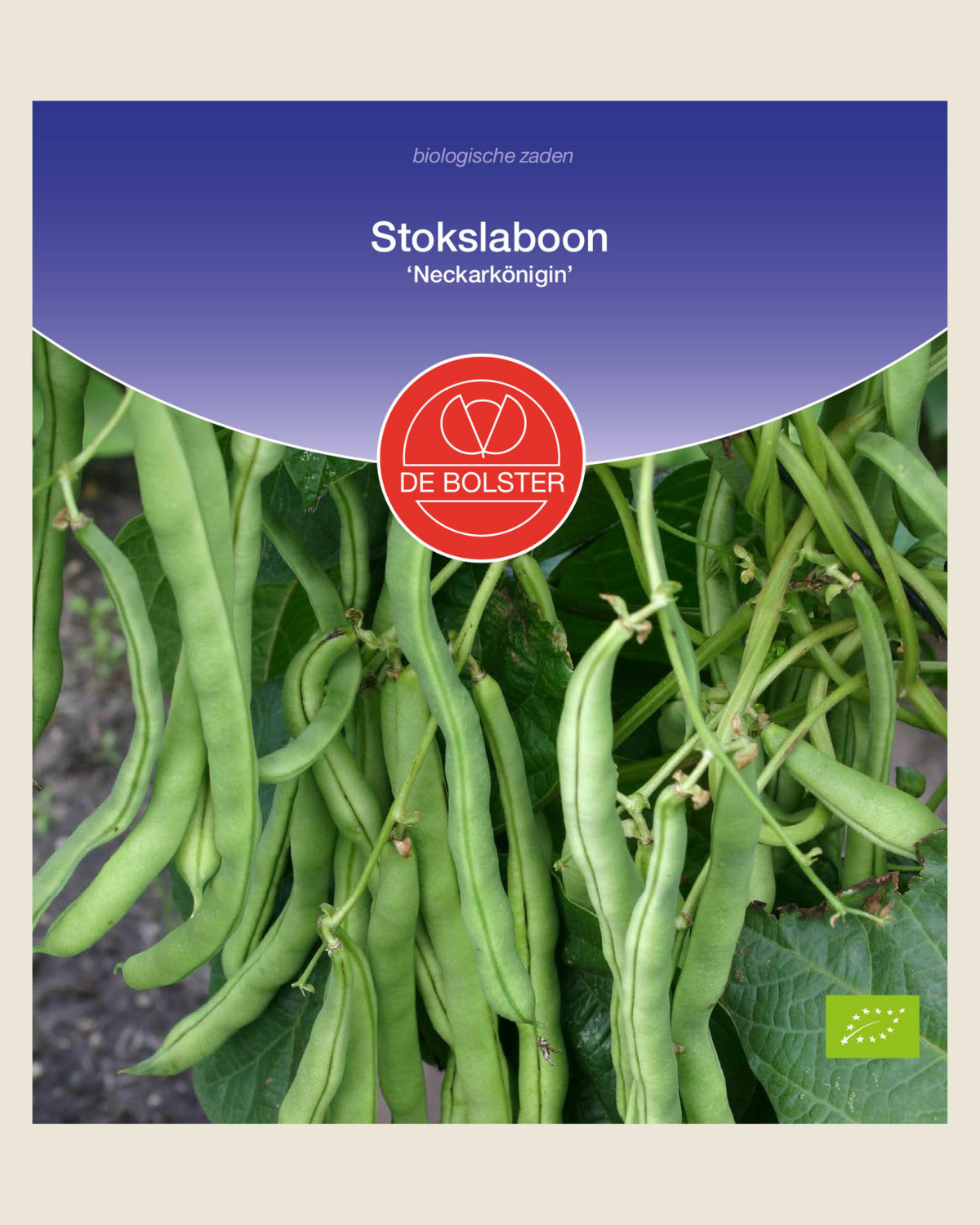 Stokslaboon 'Neckarkönigin' BIO