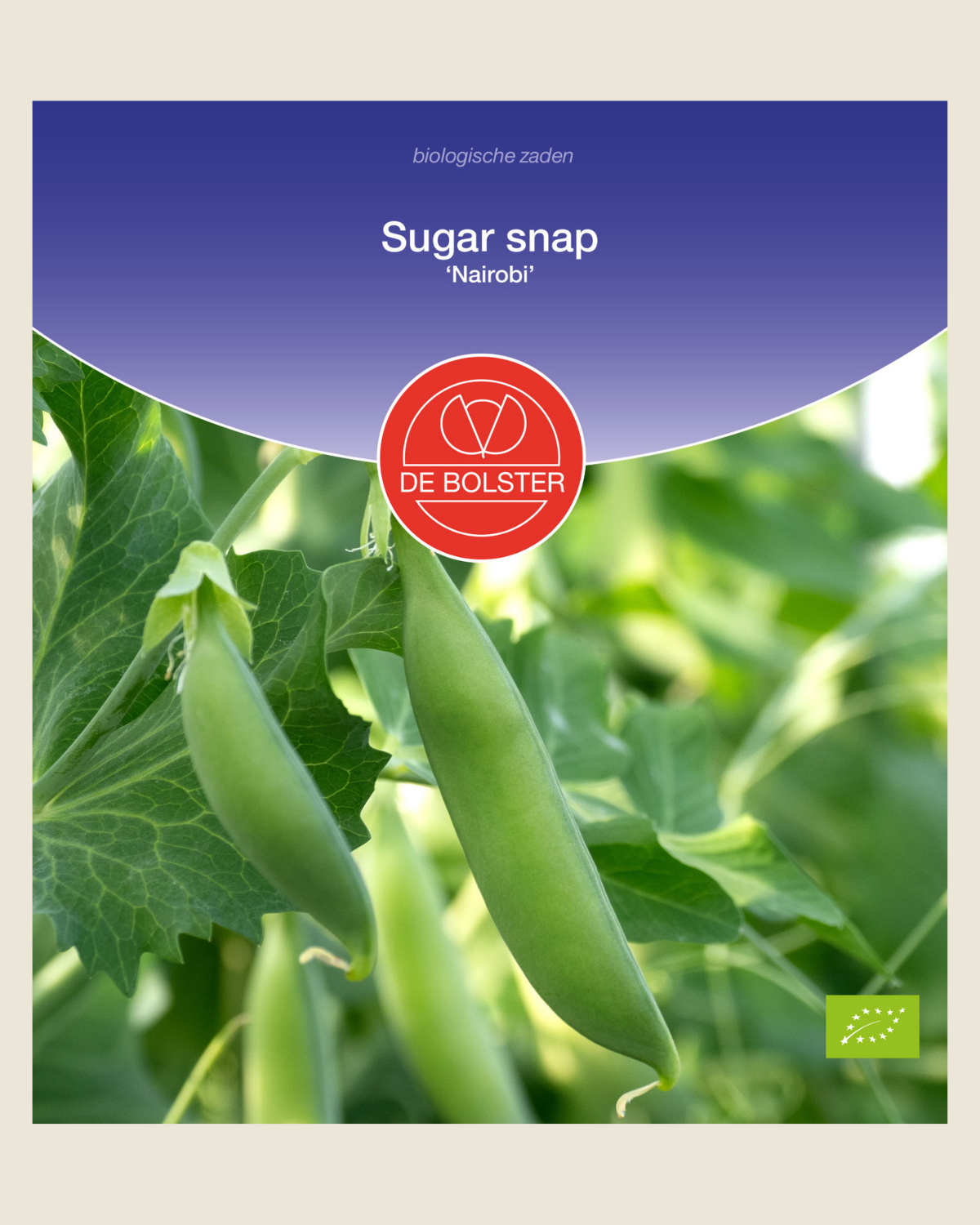 Sugar snap 'Nairobi' BIO