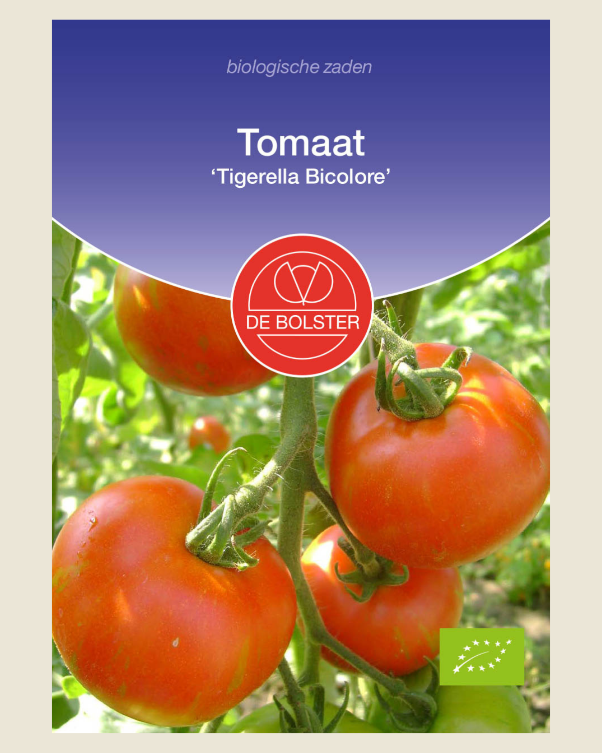 Tomaat 'Tigerella Bicolore' BIO