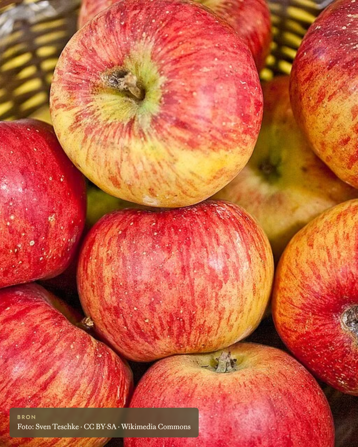 Appel 'Topaz' - appelboom De Groene Makers