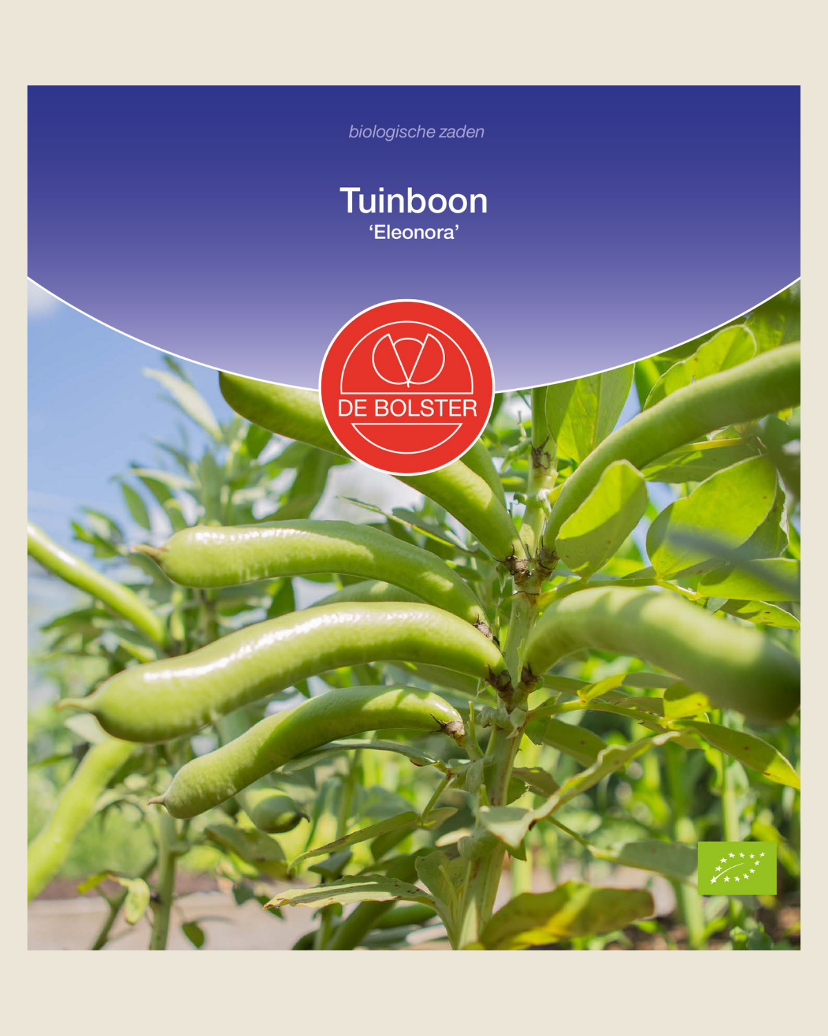 Tuinboon 'Eleonora' BIO