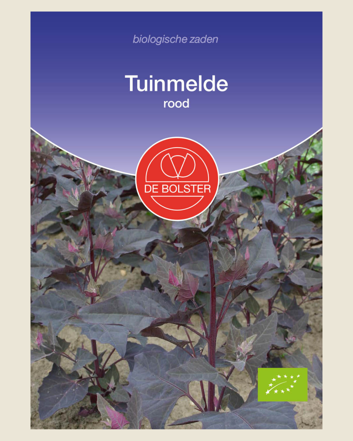 Tuinmelde, rood BIO