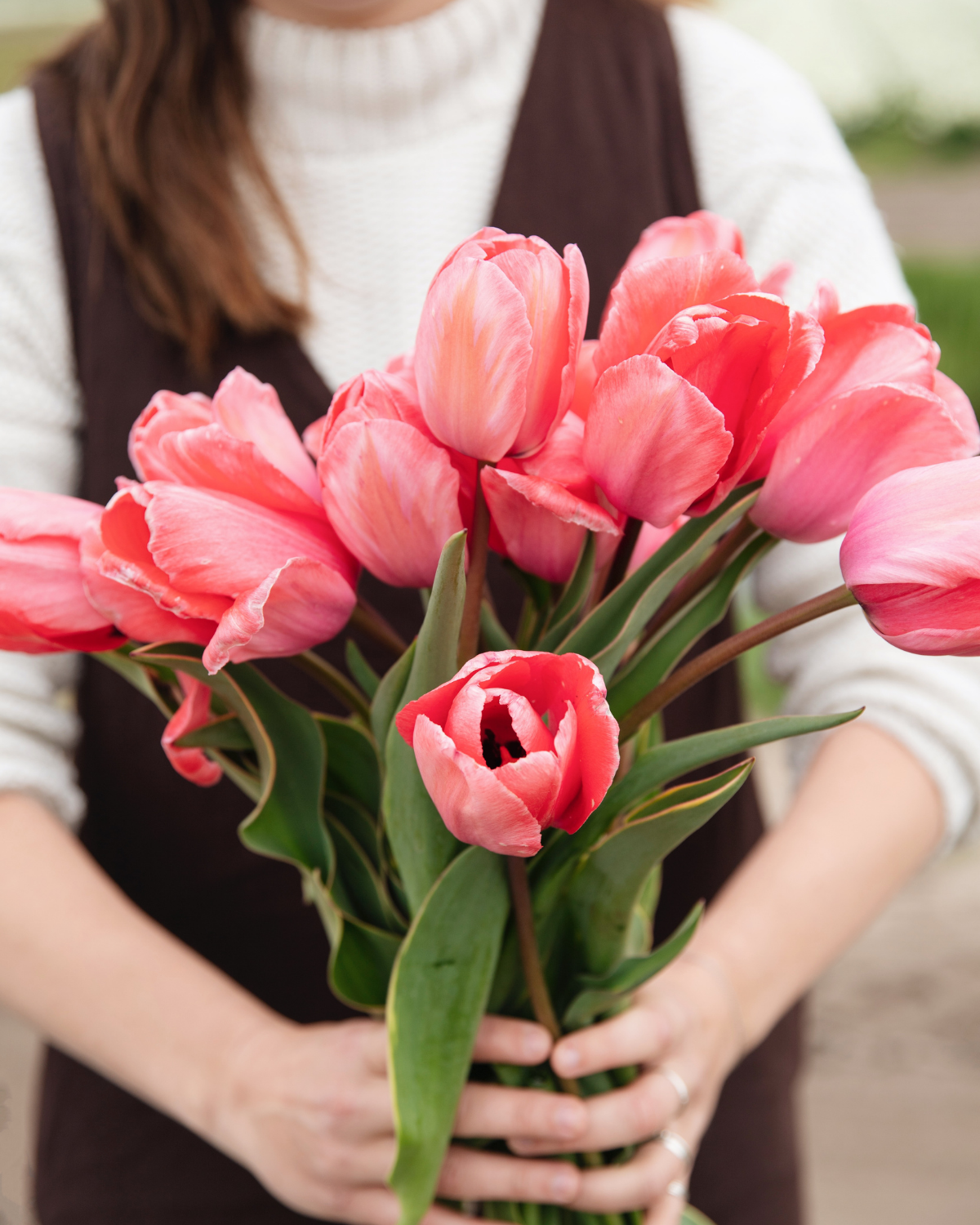 Tulp 'Design Impression' BIO (8 stuks)