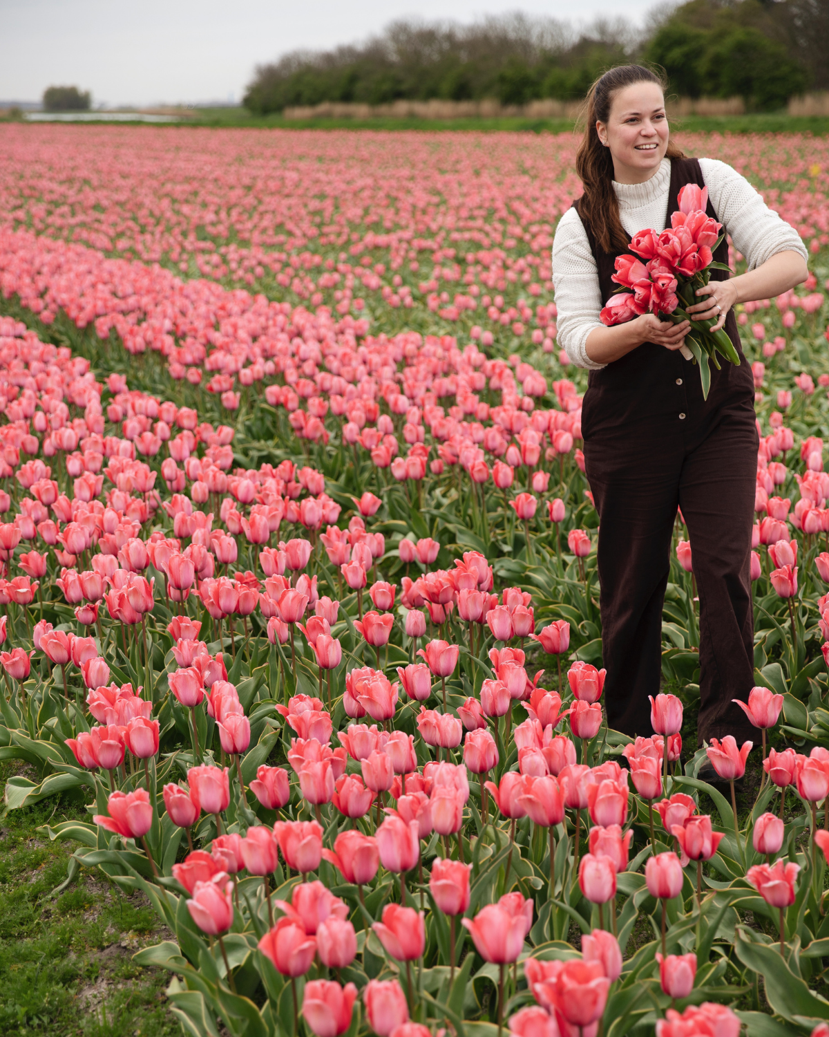 Tulp 'Design Impression' BIO (8 stuks)