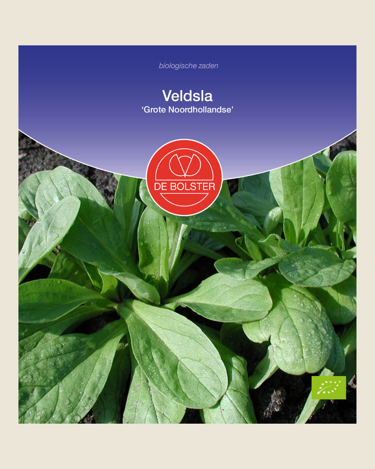 Veldsla 'Grote Noordhollandse' BIO