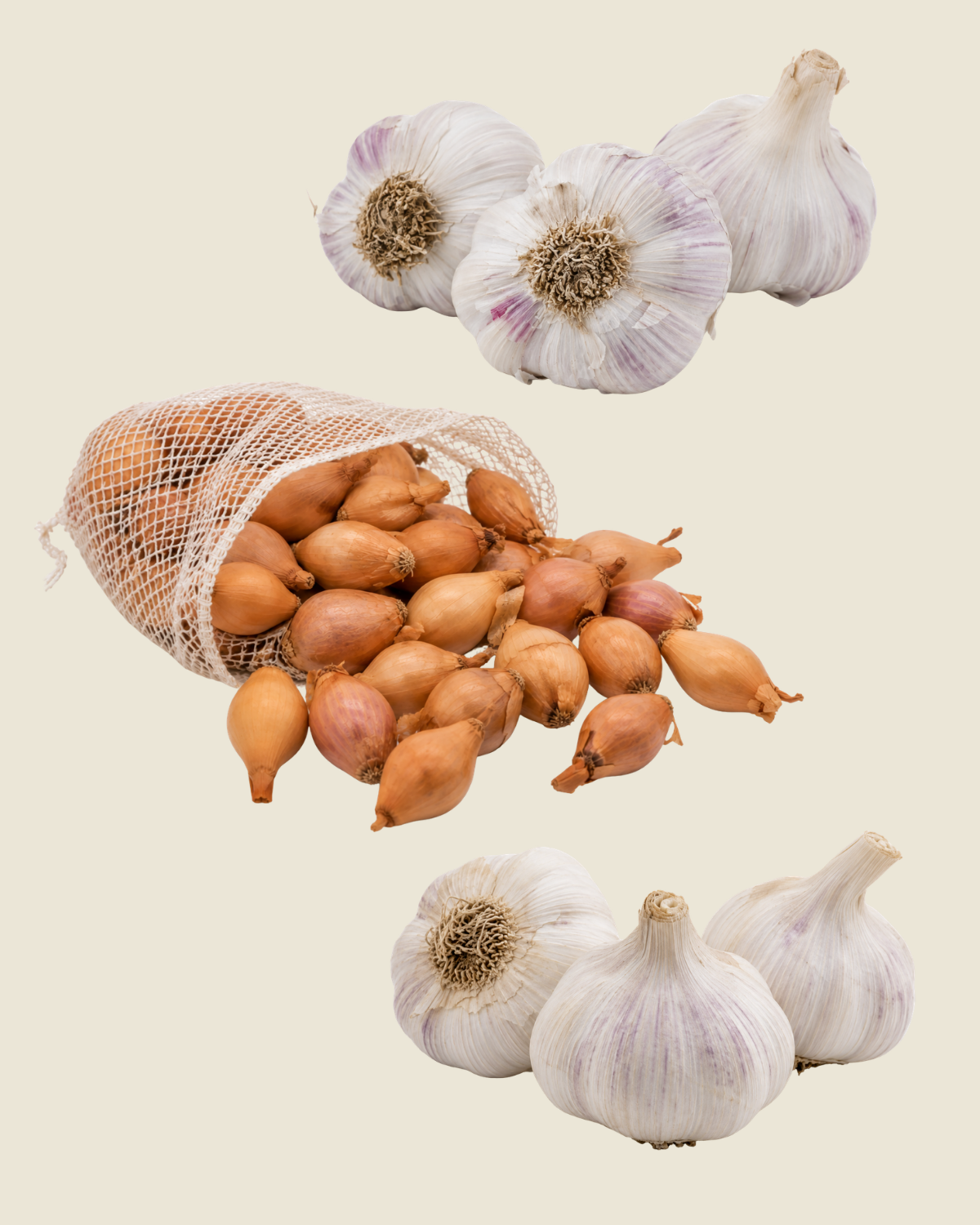 Winterpakket BIO met twee soorten plantknoflook en een zak plantui Radar