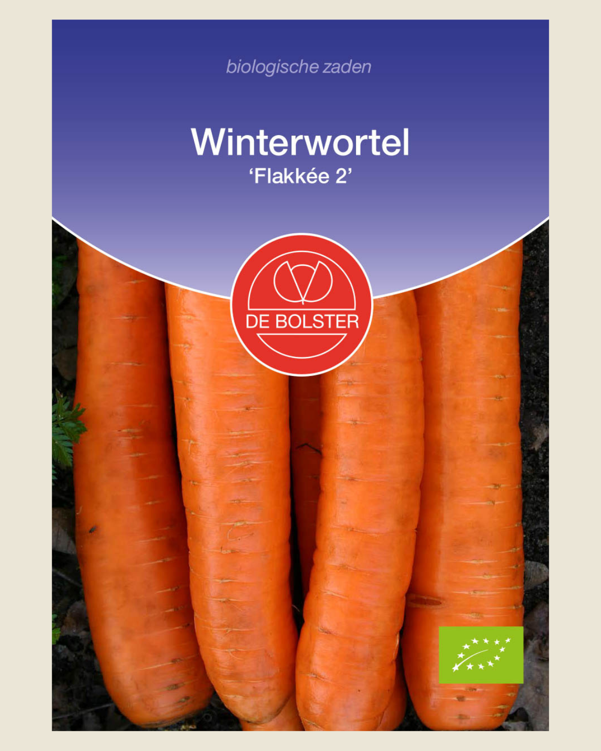Winterwortel 'Flakkée 2'