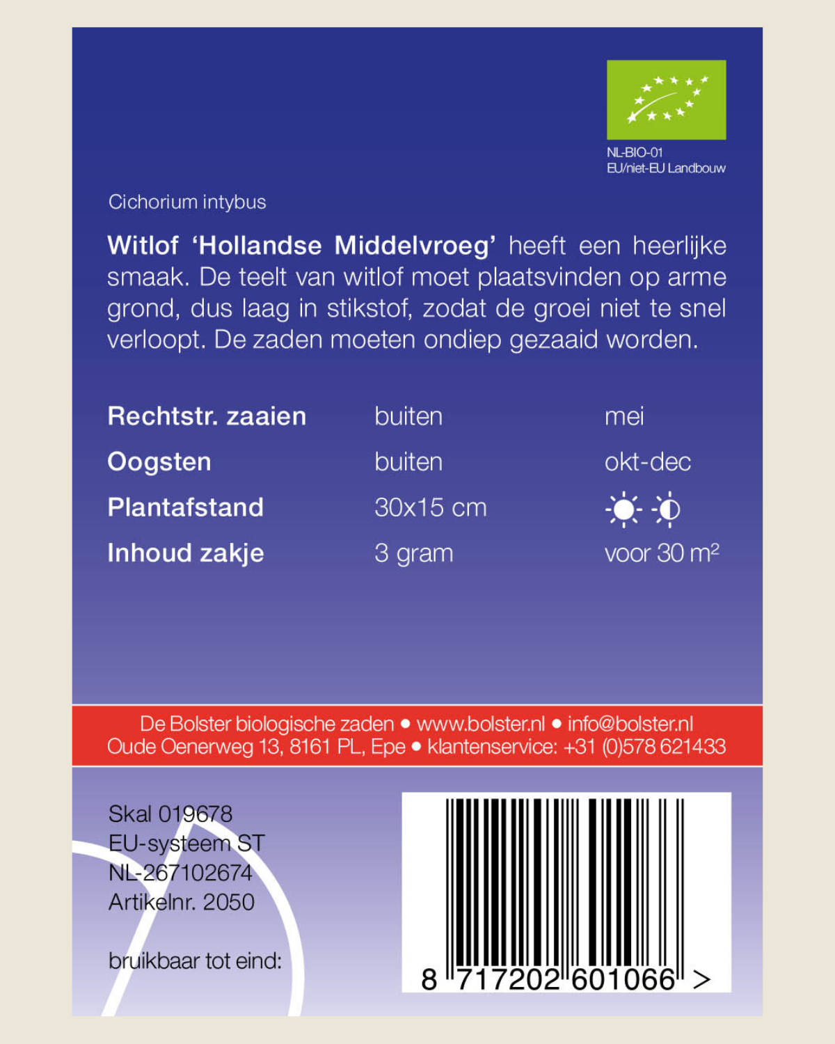 Witlof 'Hollandse Middelvroeg'