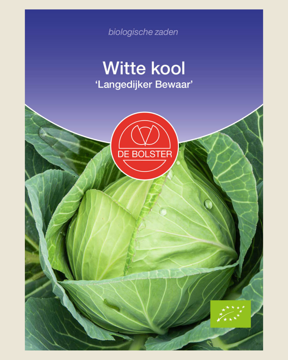 Witte kool 'Langedijker Bewaar' BIO