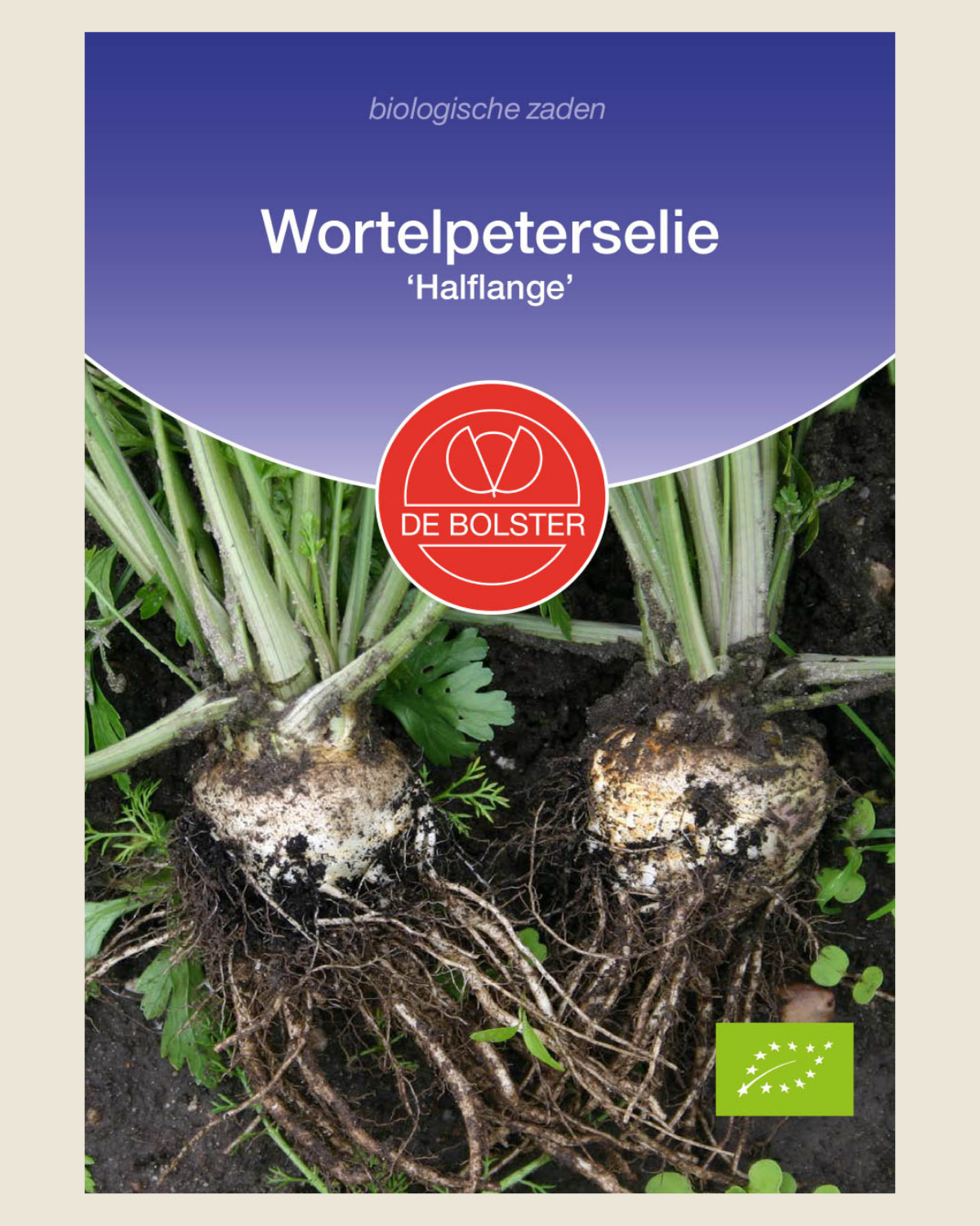 Wortelpeterselie 'Halflange'