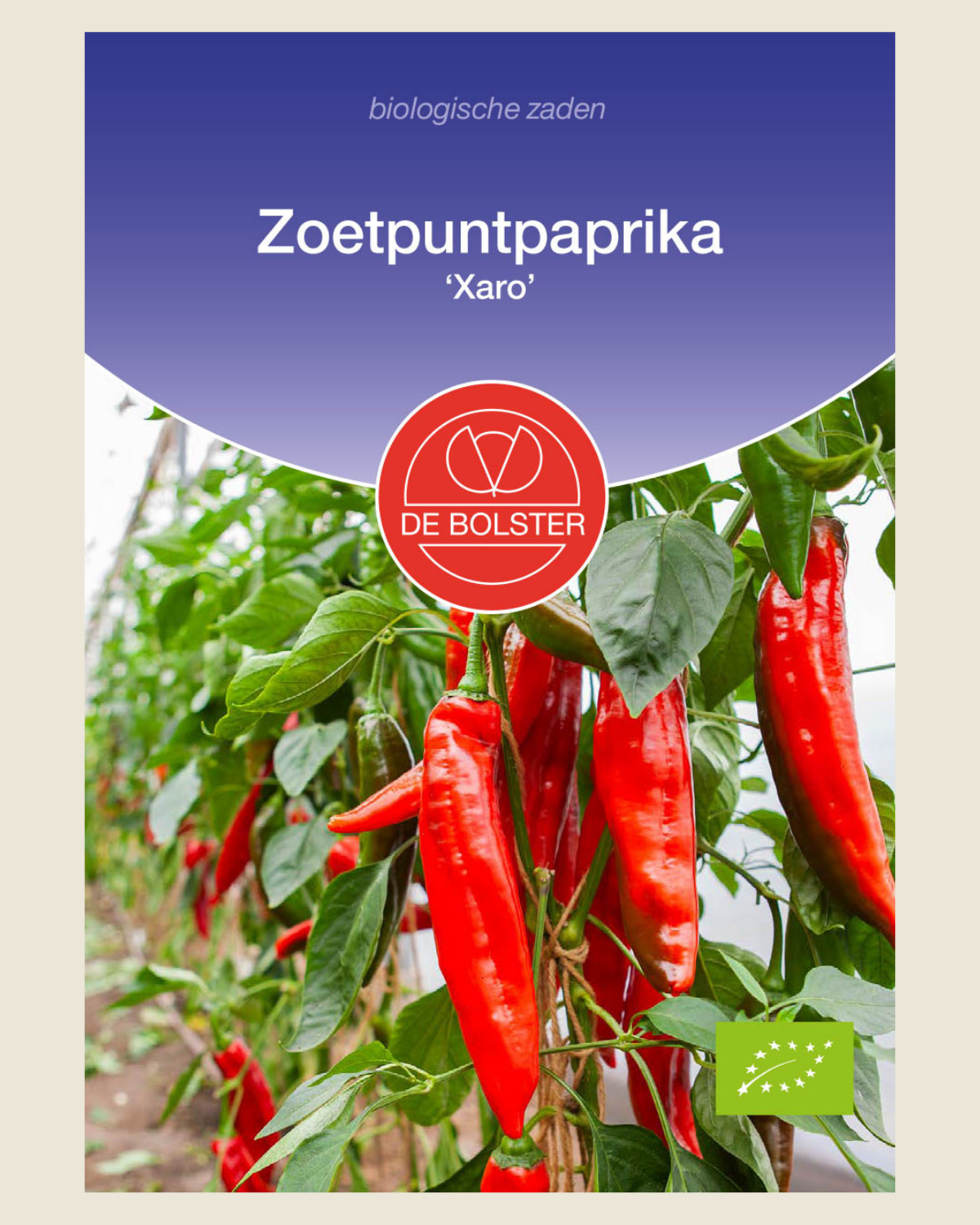 Zoetpuntpaprika 'Xaro' BIO
