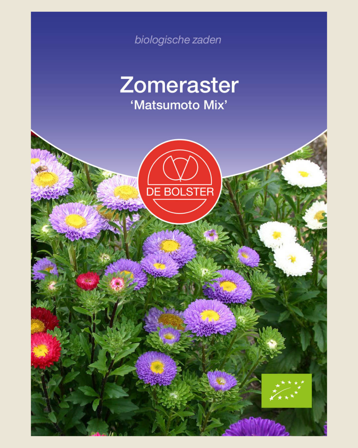 Zomeraster 'Matsumoto Mix' BIO