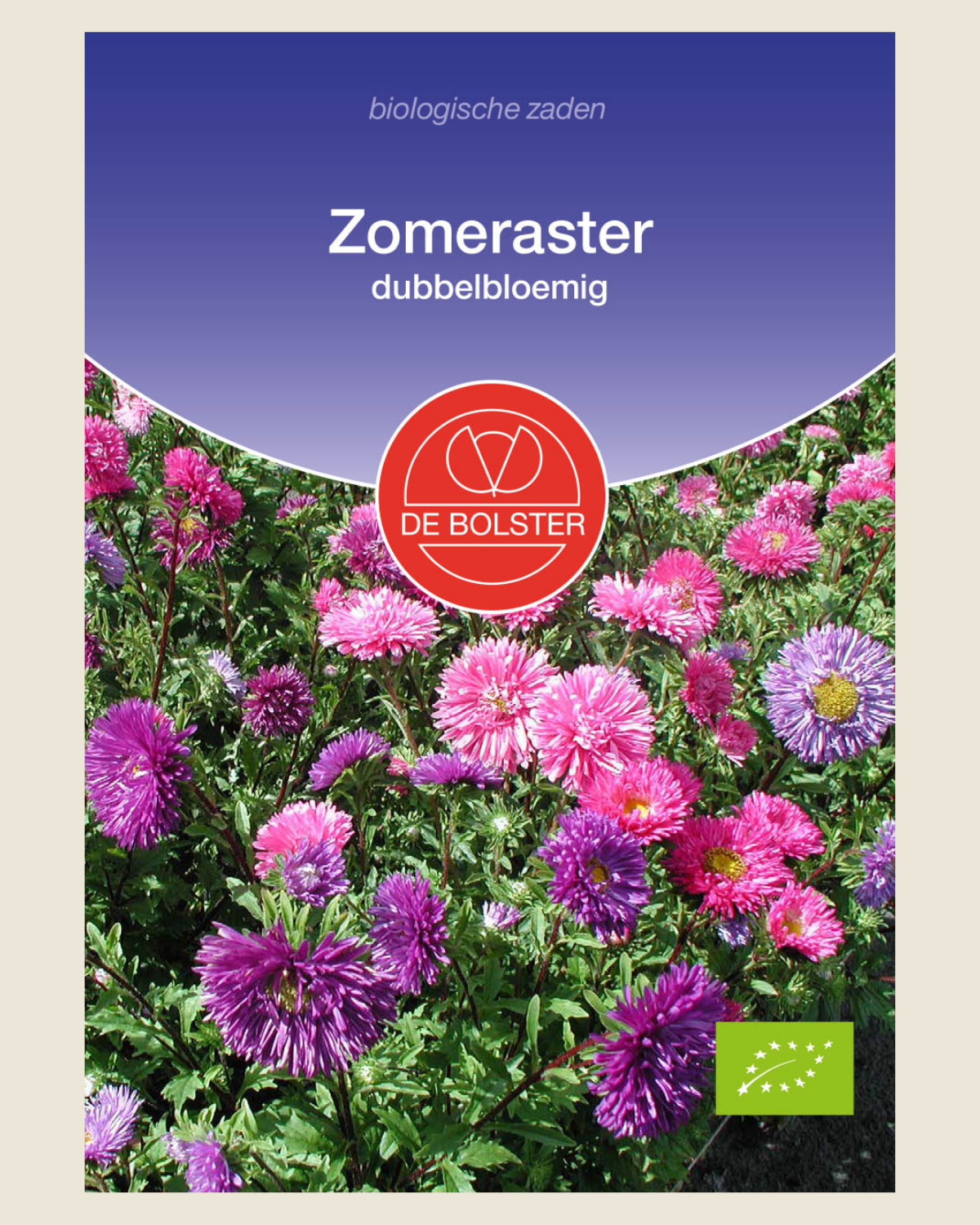 Zomeraster, dubbelbloemig BIO