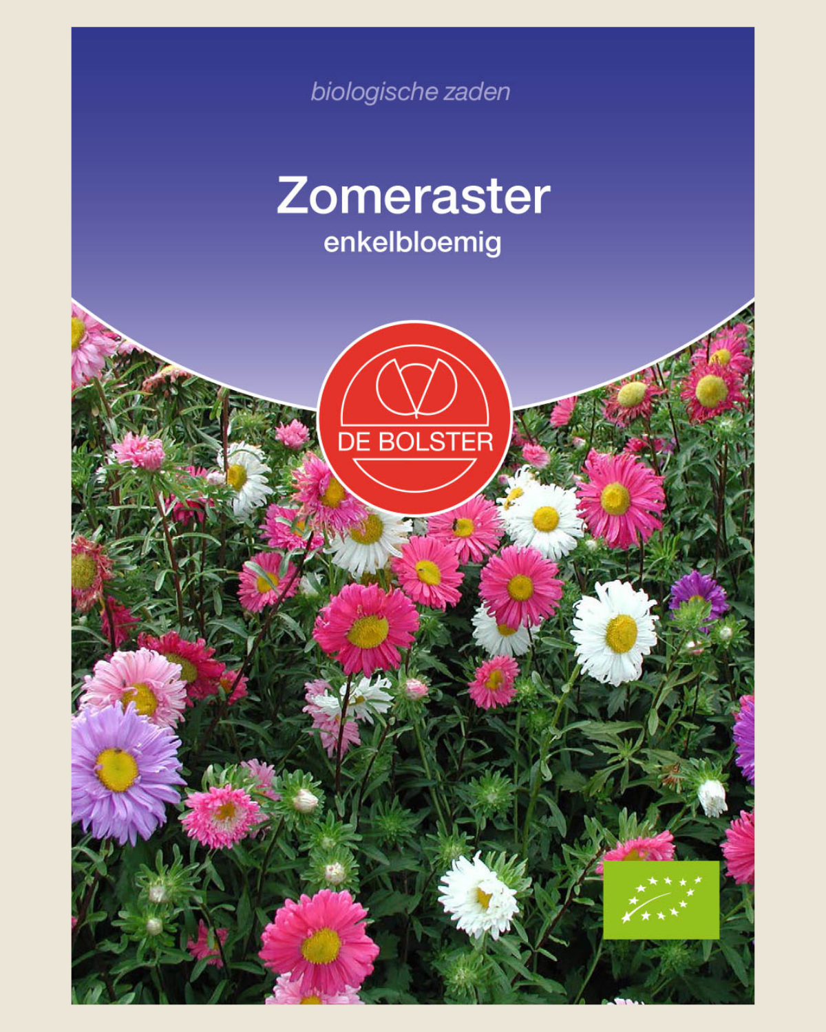 Zomeraster, enkelbloemig BIO