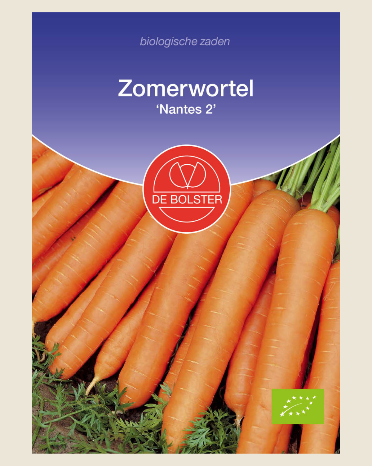 Zomerwortel 'Nantes 2'