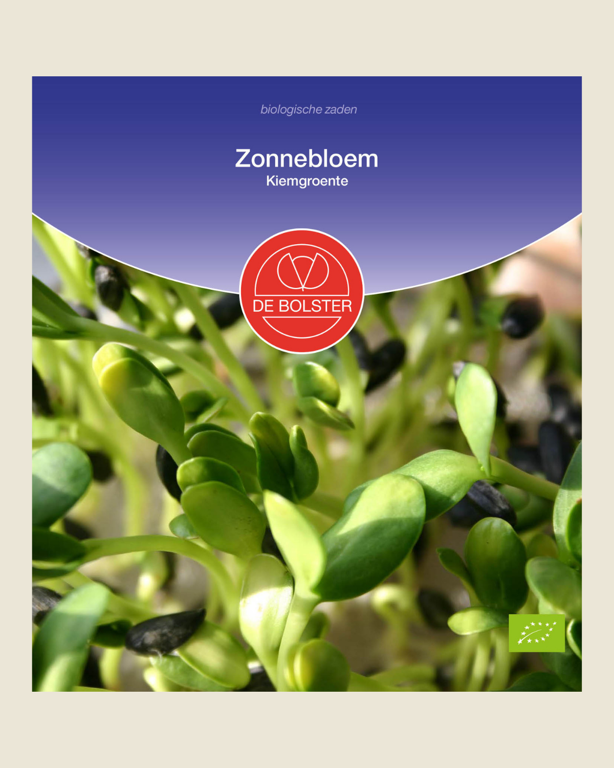 Zonnebloem kiemgroente - De Groene Makers