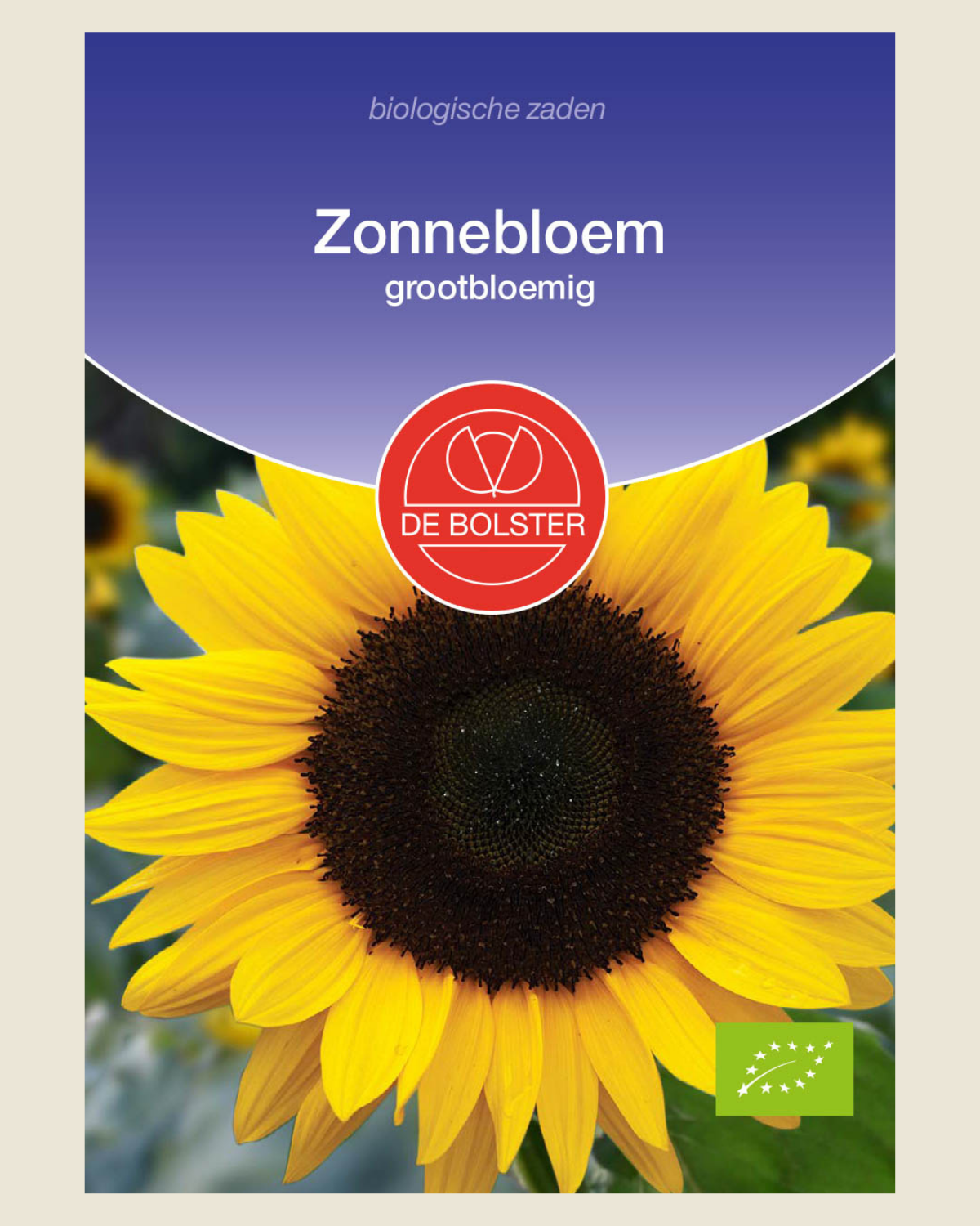 Zonnebloem, grootbloemig BIO