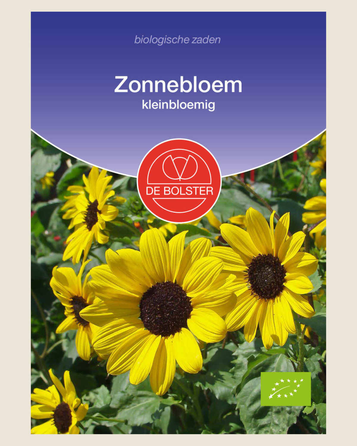 Zonnebloem, kleinbloemig BIO