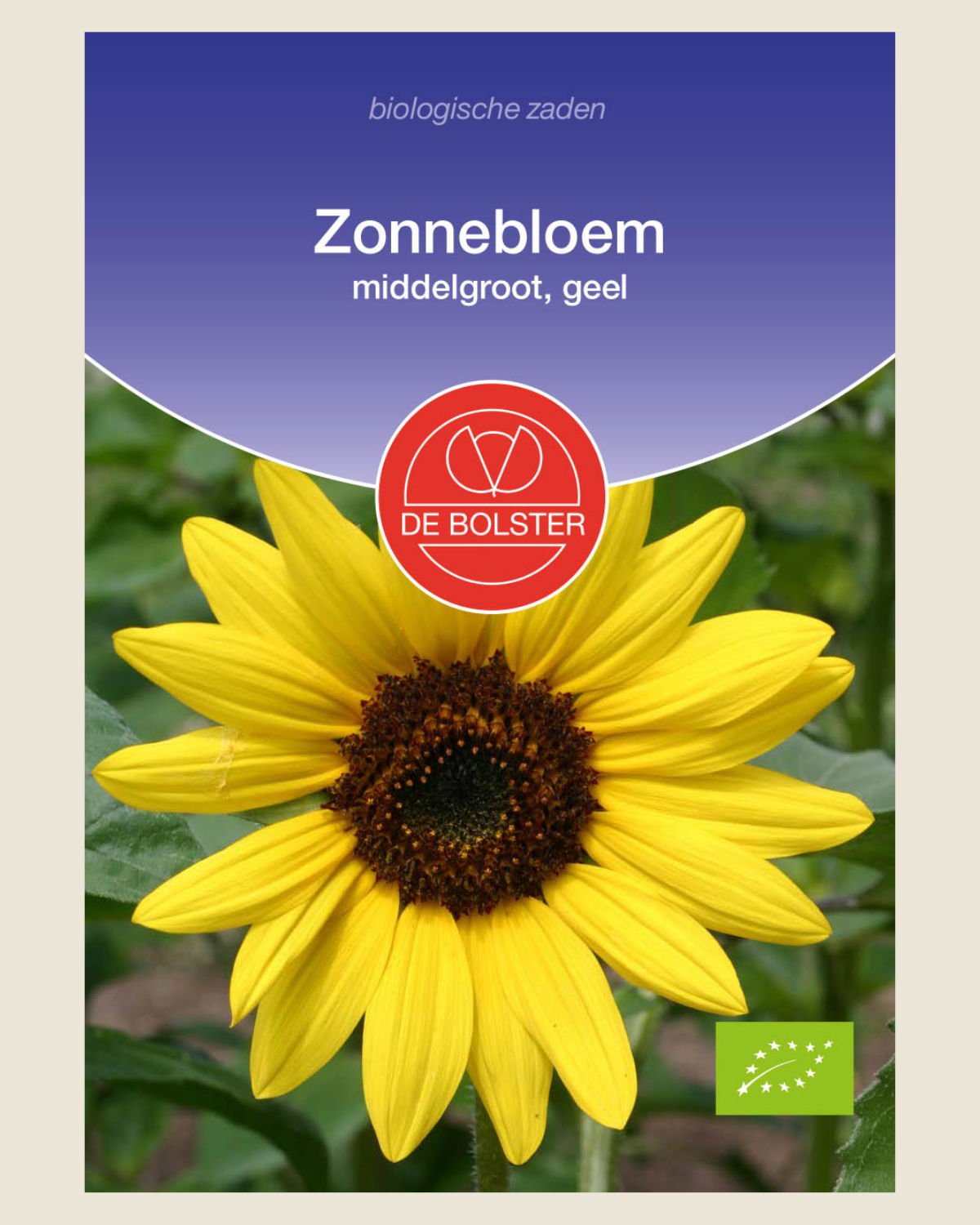 Zonnebloem, middelgroot, geel BIO