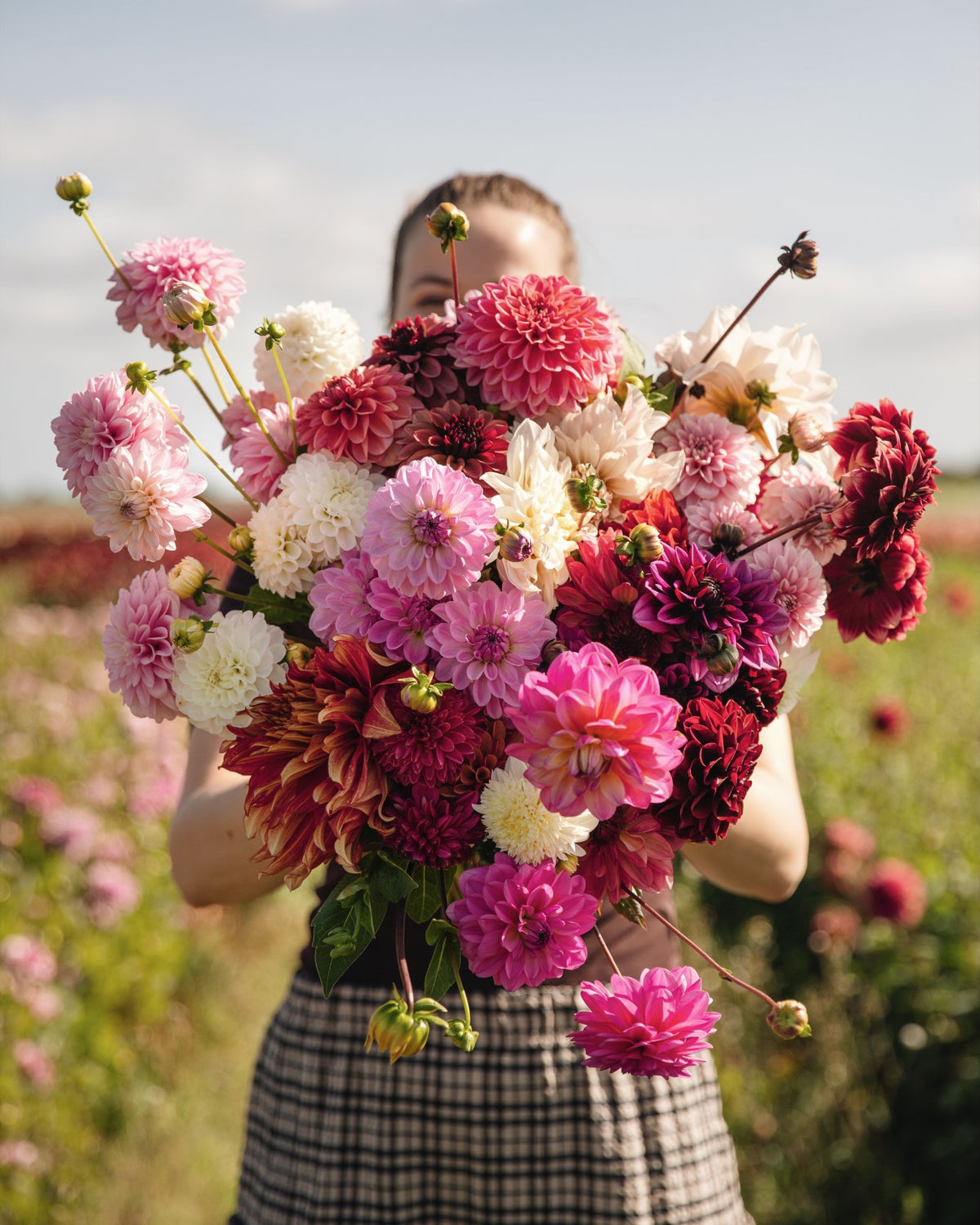 Boeket met alle biologische dahlia's van De Groene Makers op het dahliaveld