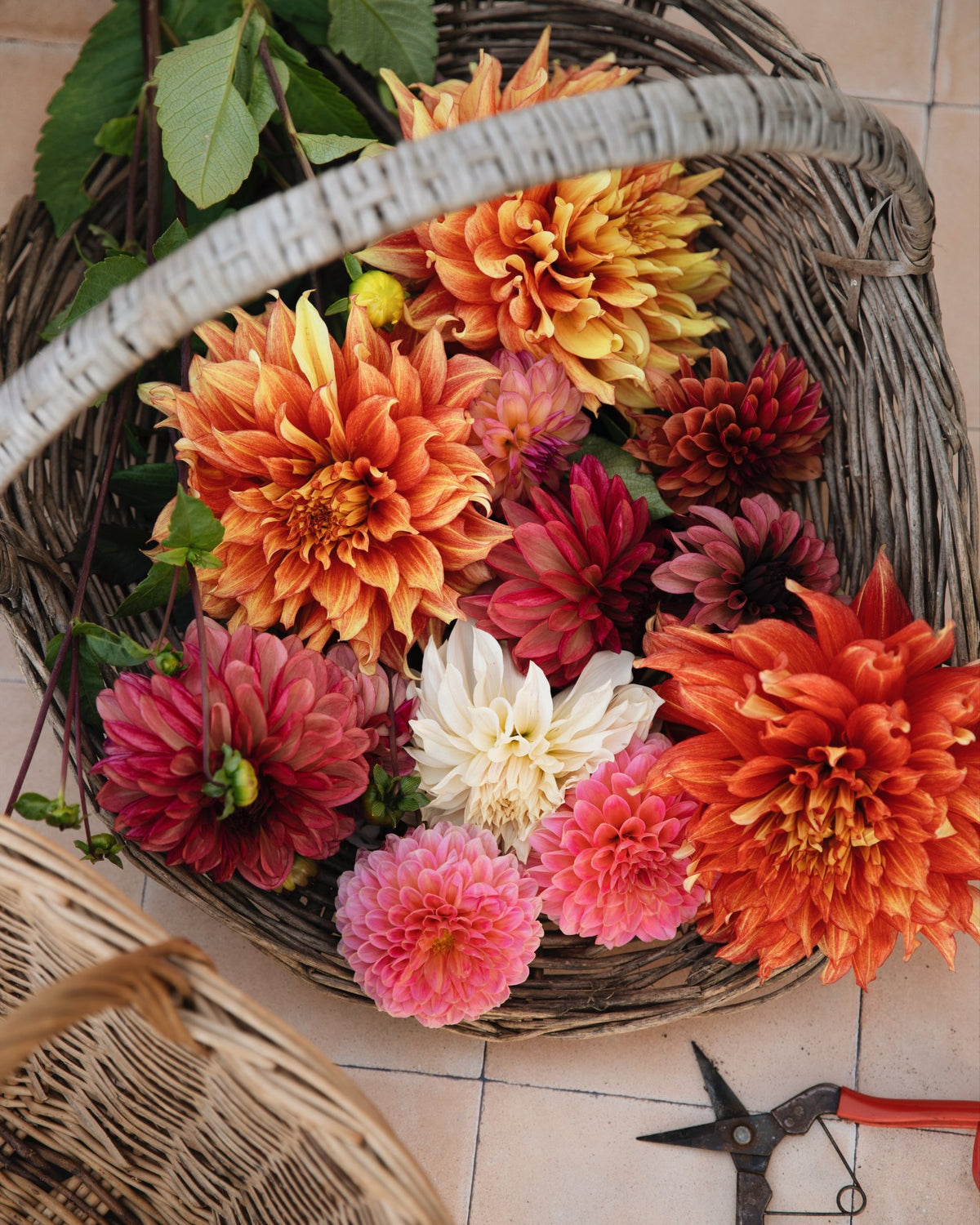 Mand met oranje, rode en roze dahlia's van boven gezien