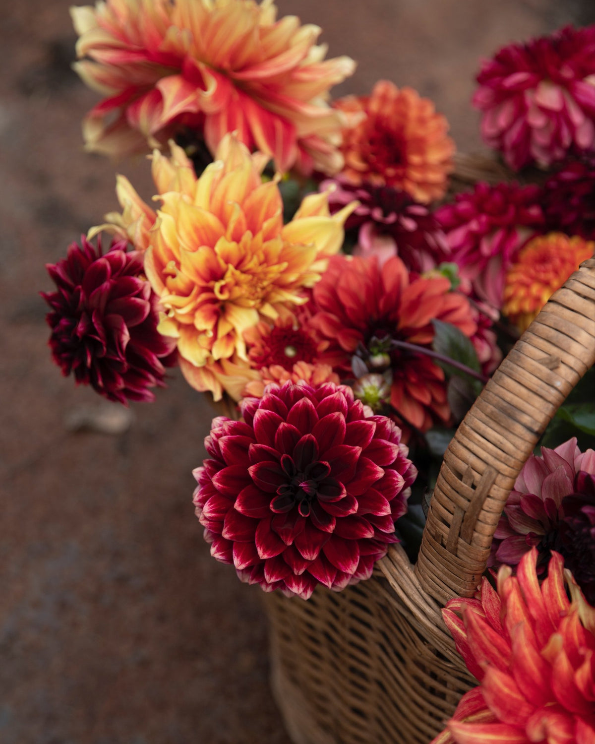 Mand met rode en oranje dahlia's
